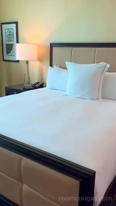 Deluxe Suite (#5806) bed picture #6