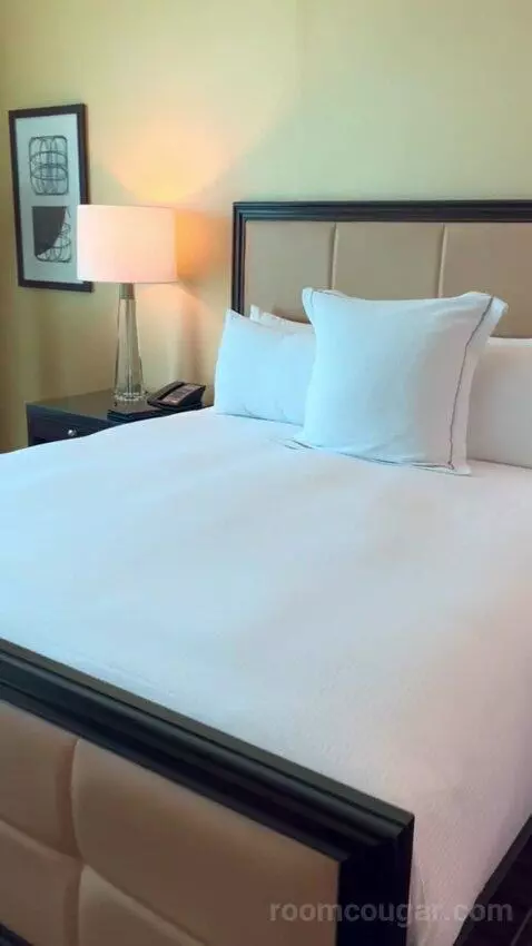 Deluxe Suite (#5806) bed picture #7