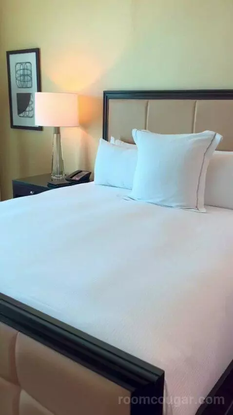 Deluxe Suite (#5806) bed picture #8