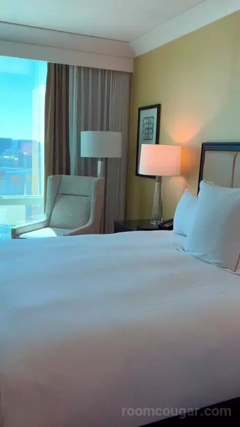 Deluxe Suite (#5806) bed picture #9