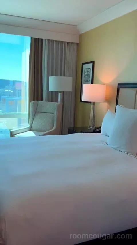 Deluxe Suite (#5806) bed picture #10