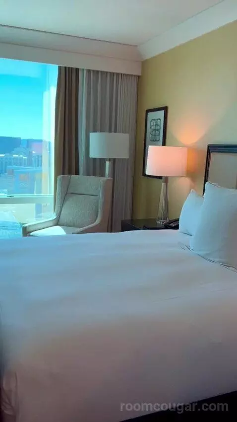 Deluxe Suite (#5806) bed picture #11