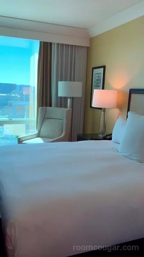 Deluxe Suite (#5806) bed picture #12