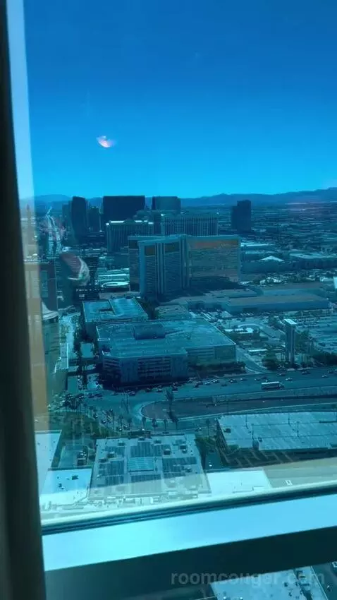 Deluxe Suite (#5806) view picture #11