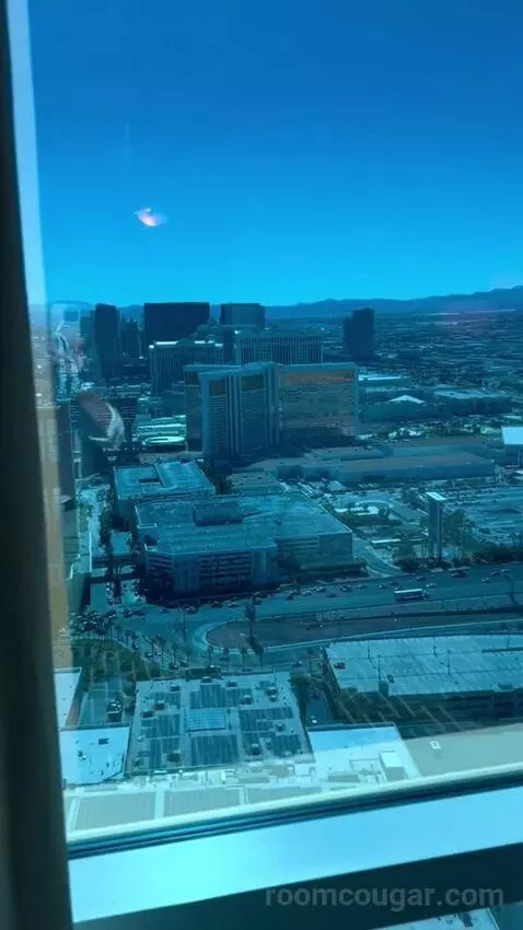 Deluxe Suite (#5806) view picture #12