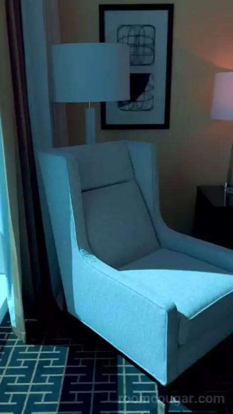 Deluxe Suite (#5806) picture #20