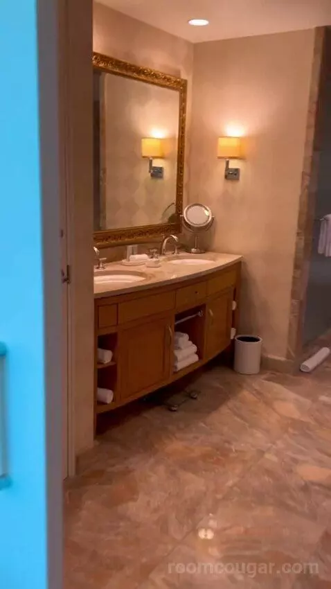 Deluxe Suite (#5806) bathroom picture #5