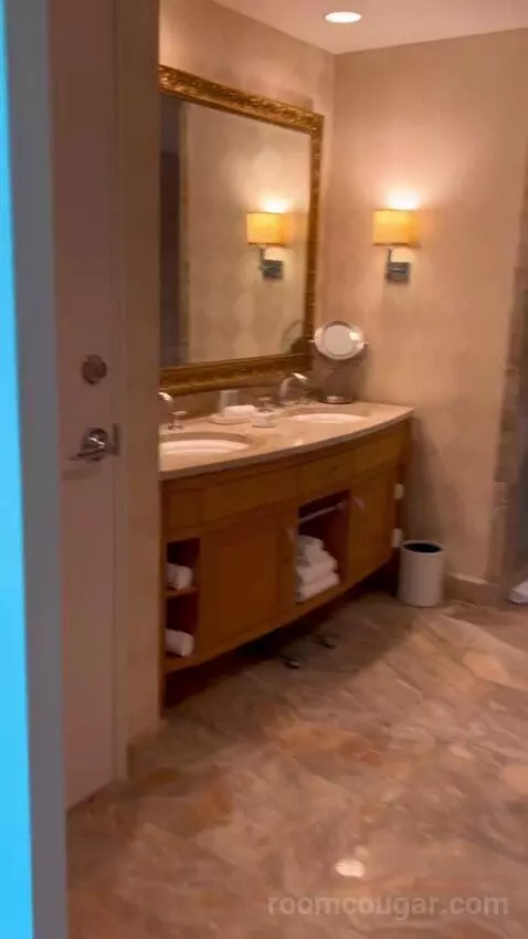 Deluxe Suite (#5806) picture #21