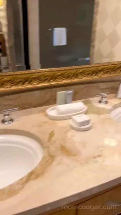 Deluxe Suite (#5806) bathroom picture #7