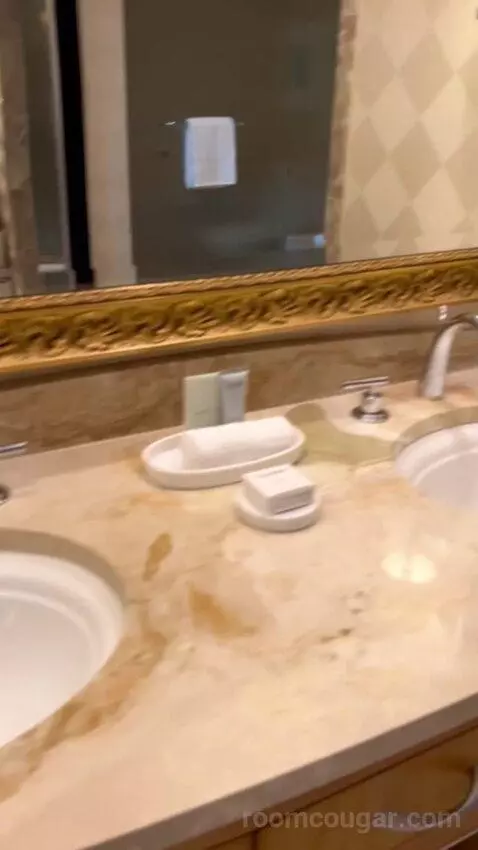 Deluxe Suite (#5806) bathroom picture #8