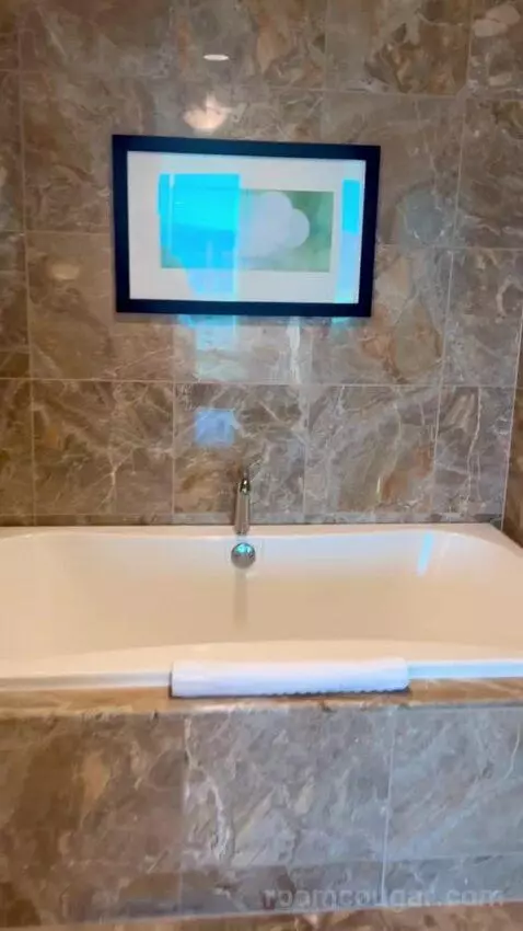 Deluxe Suite (#5806) bathroom picture #9