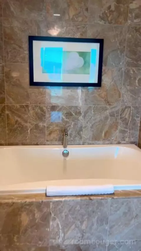 Deluxe Suite (#5806) picture #23