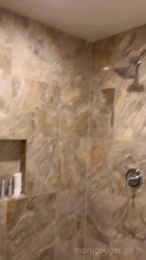 Deluxe Suite (#5806) bathroom picture #11