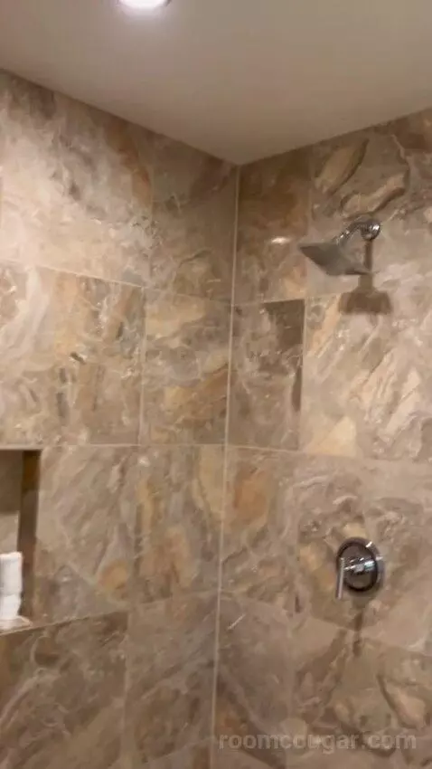 Deluxe Suite (#5806) picture #24