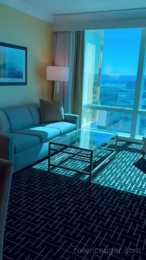 Deluxe Suite (#5806) picture #4