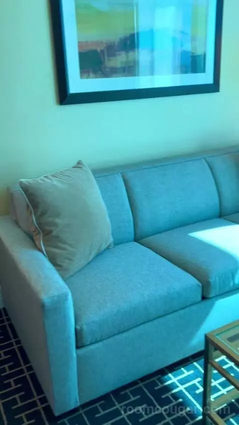 Deluxe Suite (#5806) picture #6