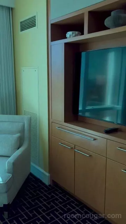 Deluxe Suite (#5806) picture #7