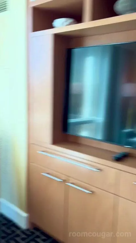 Deluxe Suite (#5806) picture #8