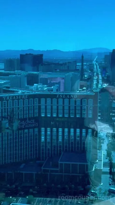 Deluxe Suite (#5806) view picture #1