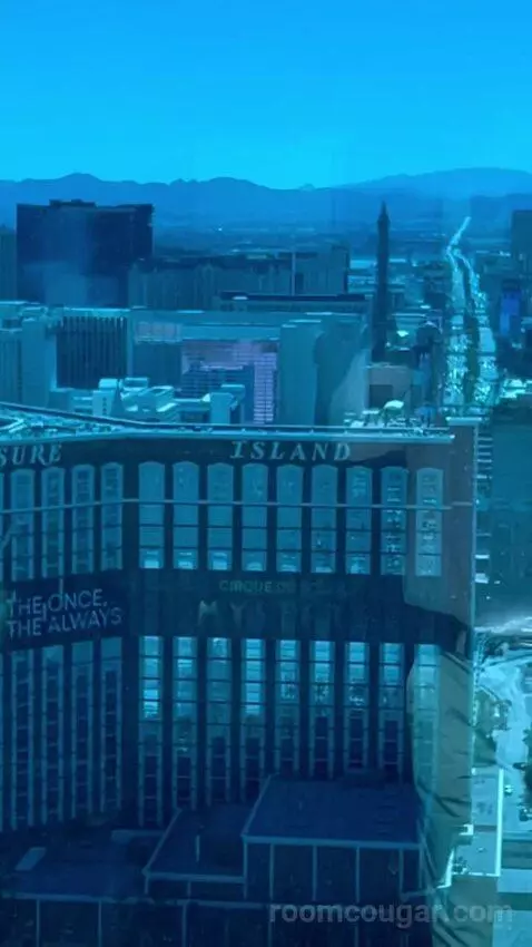 Deluxe Suite (#5806) view picture #3