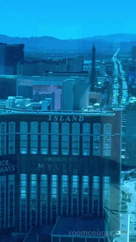 Deluxe Suite (#5806) view picture #5