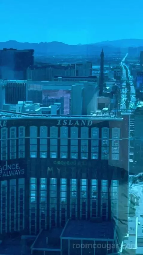 Deluxe Suite (#5806) picture #9