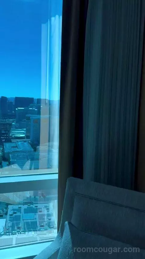 Deluxe Suite (#5806) picture #10