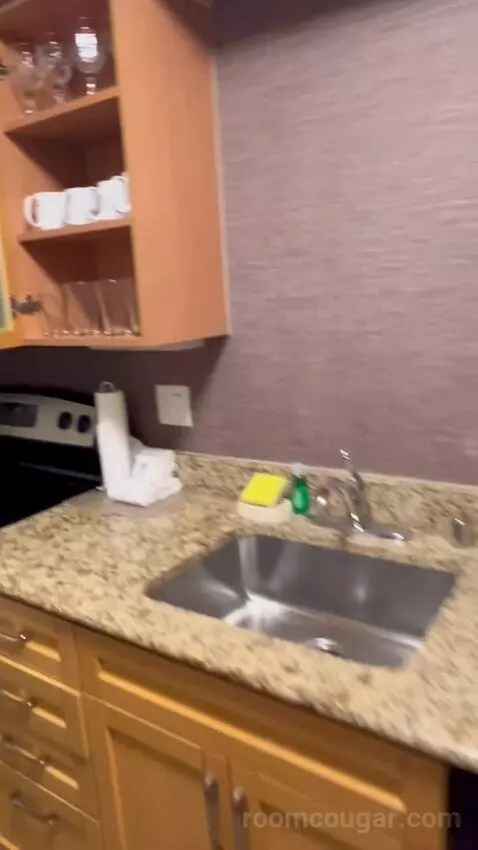 Queen Studio Suite with Sofa Bed and Adapted Tub - Mobility and Hearing Accessible (#112) bathroom picture #1