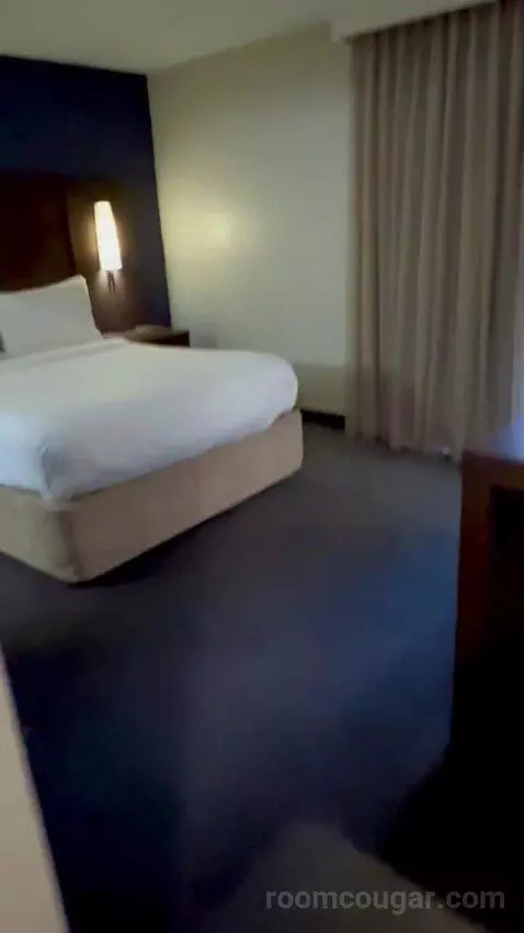 Queen Studio Suite with Sofa Bed and Adapted Tub - Mobility and Hearing Accessible (#112) bed picture #1