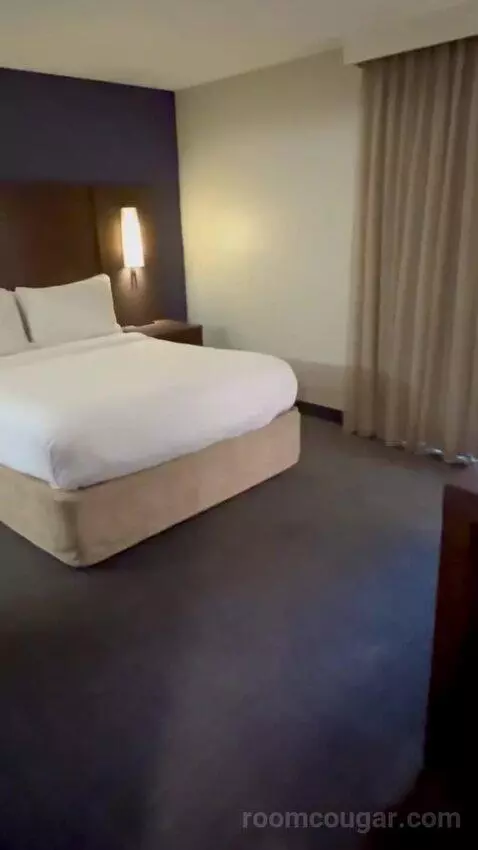 Queen Studio Suite with Sofa Bed and Adapted Tub - Mobility and Hearing Accessible (#112) bed picture #3