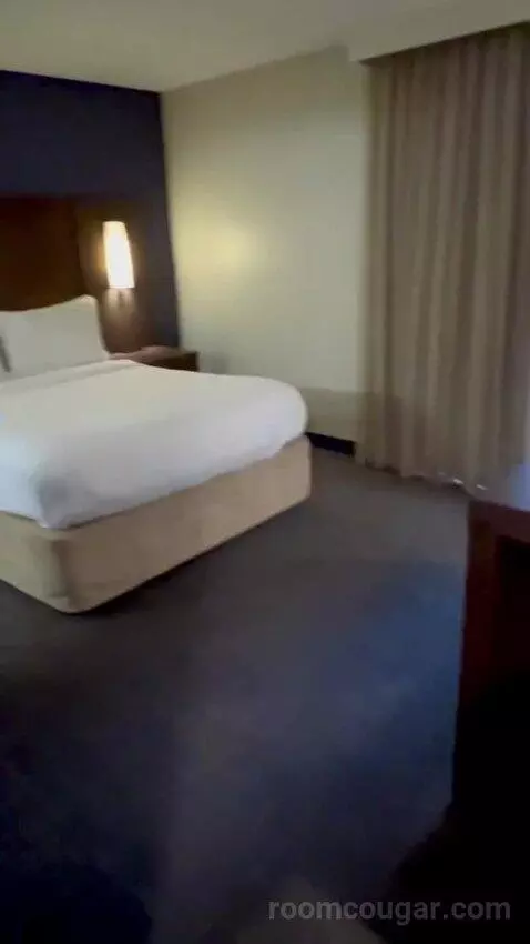 Queen Studio Suite with Sofa Bed and Adapted Tub - Mobility and Hearing Accessible (#112) picture #12