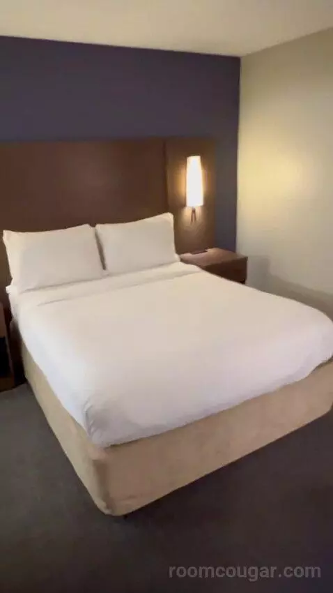 Queen Studio Suite with Sofa Bed and Adapted Tub - Mobility and Hearing Accessible (#112) bed picture #4