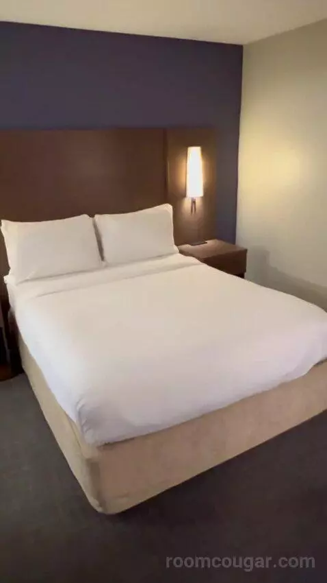 Queen Studio Suite with Sofa Bed and Adapted Tub - Mobility and Hearing Accessible (#112) bed picture #6