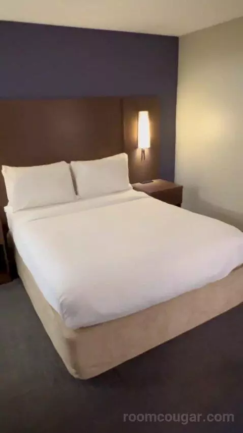 Queen Studio Suite with Sofa Bed and Adapted Tub - Mobility and Hearing Accessible (#112) picture #13