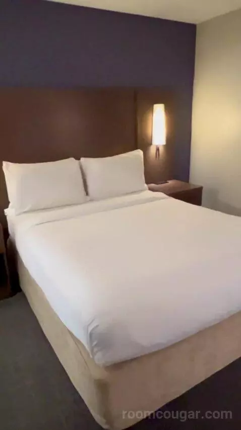 Queen Studio Suite with Sofa Bed and Adapted Tub - Mobility and Hearing Accessible (#112) bed picture #7