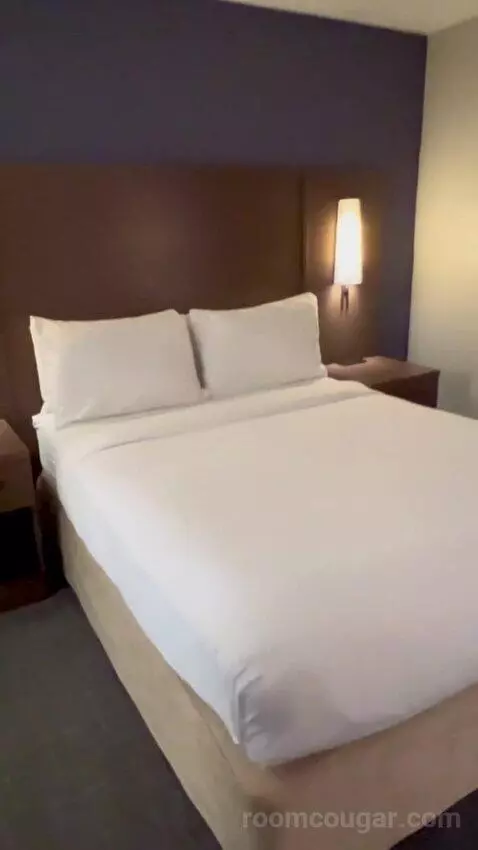 Queen Studio Suite with Sofa Bed and Adapted Tub - Mobility and Hearing Accessible (#112) bed picture #9