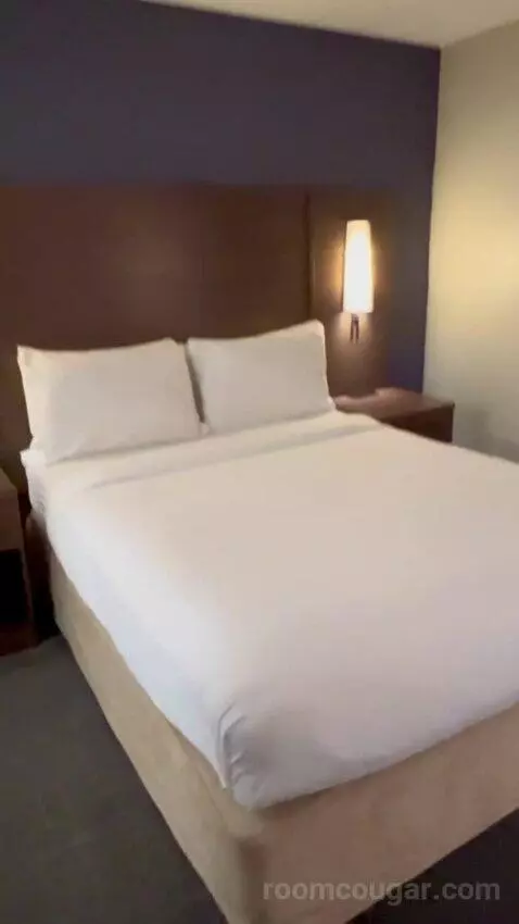 Queen Studio Suite with Sofa Bed and Adapted Tub - Mobility and Hearing Accessible (#112) picture #14