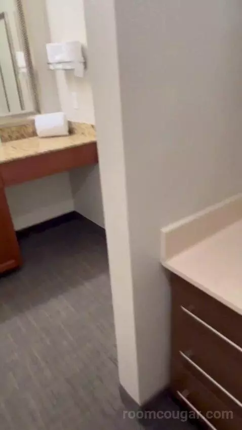 Queen Studio Suite with Sofa Bed and Adapted Tub - Mobility and Hearing Accessible (#112) bathroom picture #3