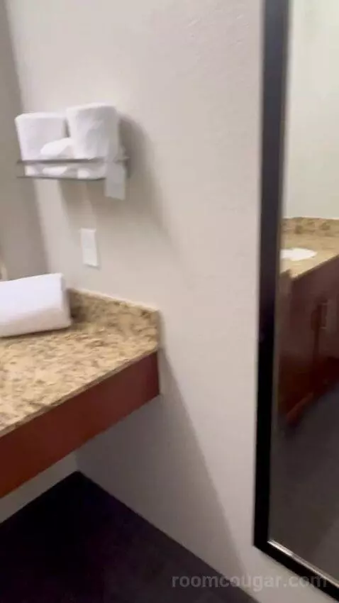 Queen Studio Suite with Sofa Bed and Adapted Tub - Mobility and Hearing Accessible (#112) bathroom picture #5