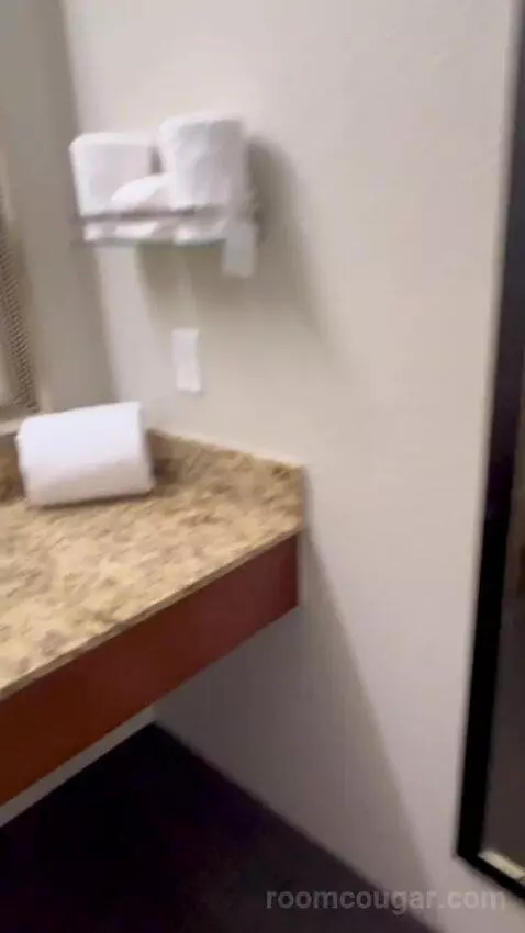 Queen Studio Suite with Sofa Bed and Adapted Tub - Mobility and Hearing Accessible (#112) bathroom picture #6