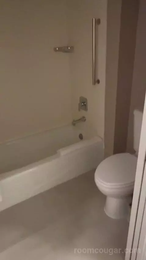 Queen Studio Suite with Sofa Bed and Adapted Tub - Mobility and Hearing Accessible (#112) bathroom picture #9