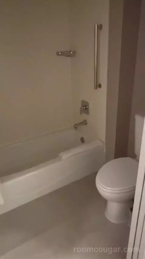 Queen Studio Suite with Sofa Bed and Adapted Tub - Mobility and Hearing Accessible (#112) bathroom picture #10