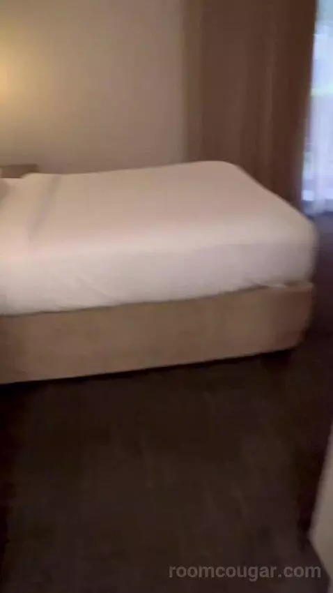 Queen Studio Suite with Sofa Bed and Adapted Tub - Mobility and Hearing Accessible (#112) picture #21