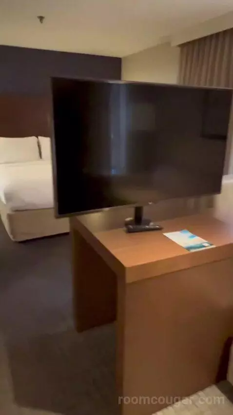 Queen Studio Suite with Sofa Bed and Adapted Tub - Mobility and Hearing Accessible (#112) picture #4