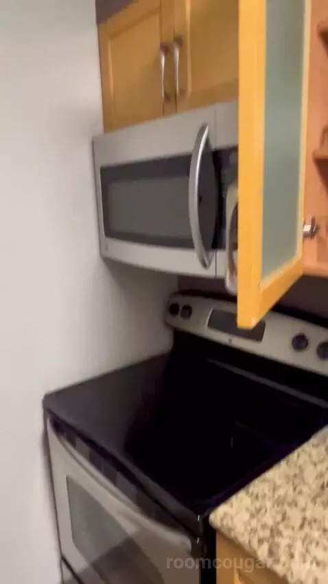 Queen Studio Suite with Sofa Bed and Adapted Tub - Mobility and Hearing Accessible (#112) picture #10