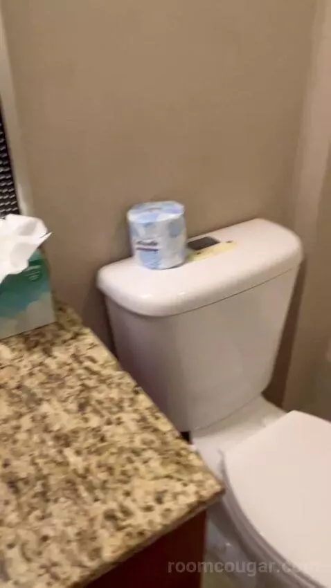 Two-Bedroom Loft (#124) bathroom picture #6