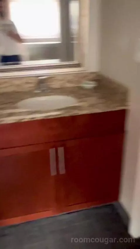 Two-Bedroom Loft (#124) bathroom picture #7