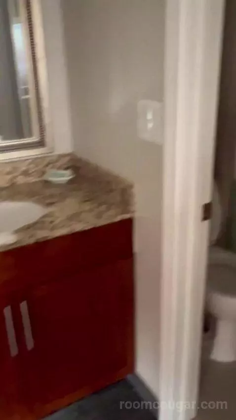 Two-Bedroom Loft (#124) bathroom picture #9