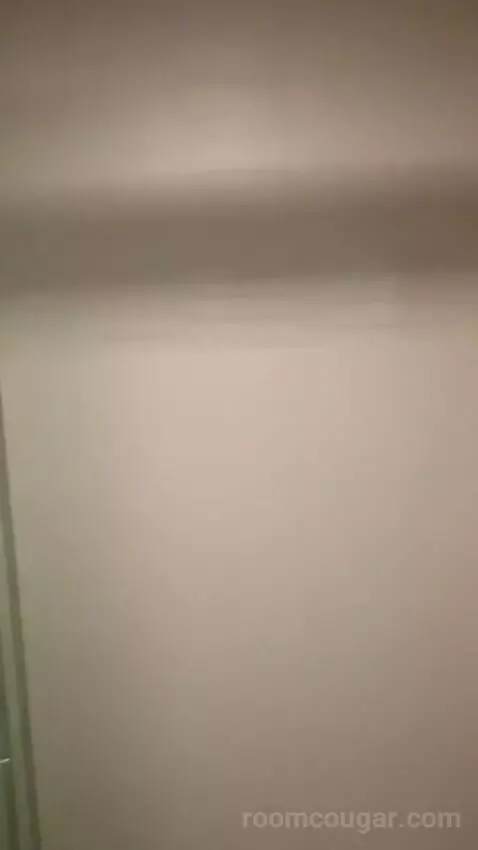 Two-Bedroom Loft (#124) picture #18