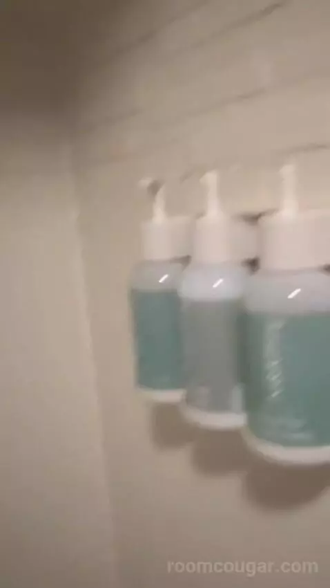 Two-Bedroom Loft (#124) bathroom picture #10